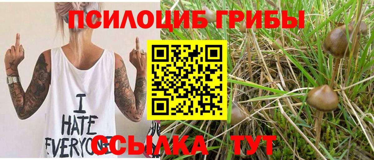 Галлюциногенные грибы мухоморы Осинники