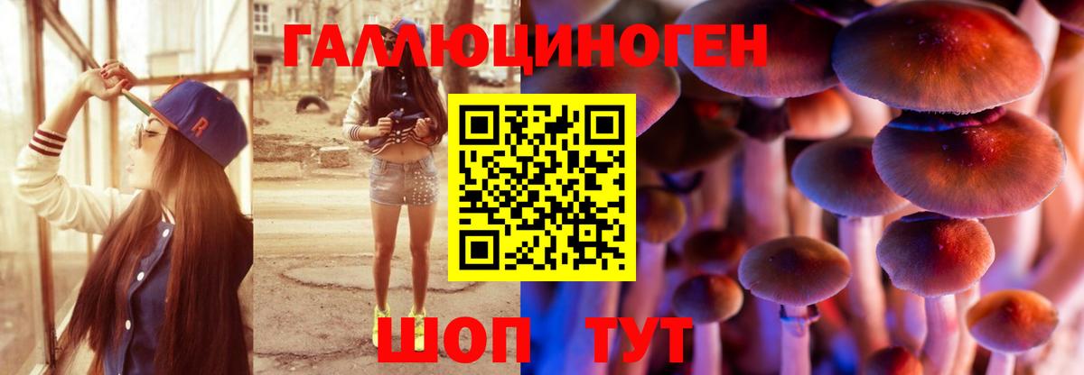 Псилоцибиновые грибы Psilocybine cubensis  Галлюциногенные грибы прущие грибы  Вход с VPN  Осинники 
